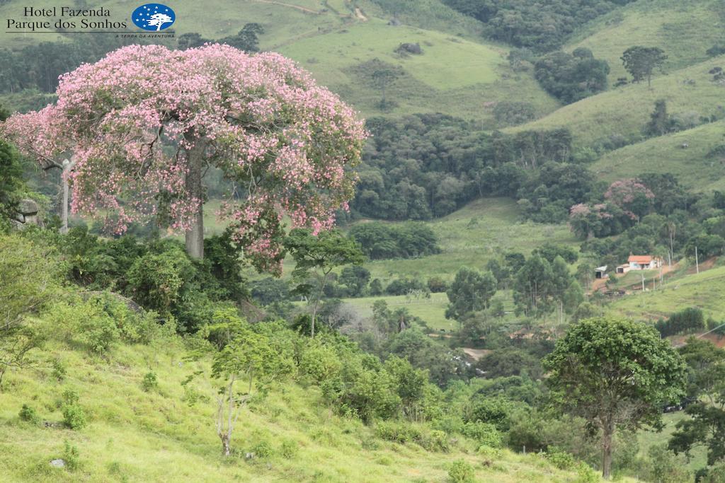 Hotel Fazenda Parque Dos Sonhos Сокорру Экстерьер фото
