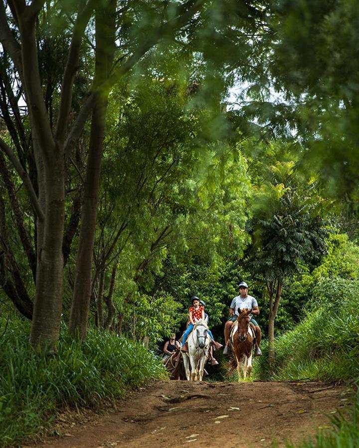 Hotel Fazenda Parque Dos Sonhos Сокорру Экстерьер фото